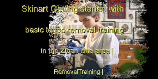 Skinart Getting started with basic tattoo removal training in the Ziban Una area | RemovalTraining | RemovalClasses | SkinartTraining-Eritrea